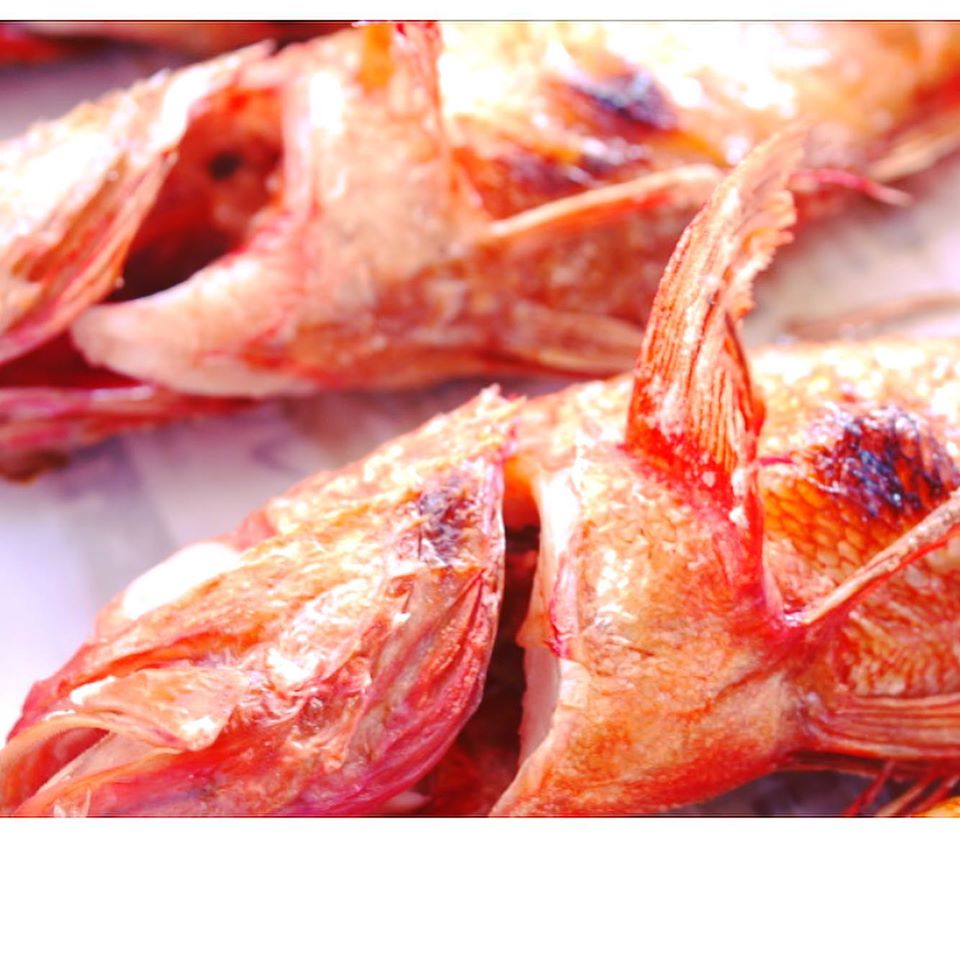 きんきん1尾(冷蔵・80サイズ)